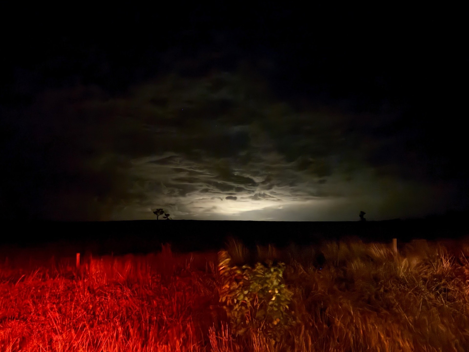 cloudy_grasslands_image