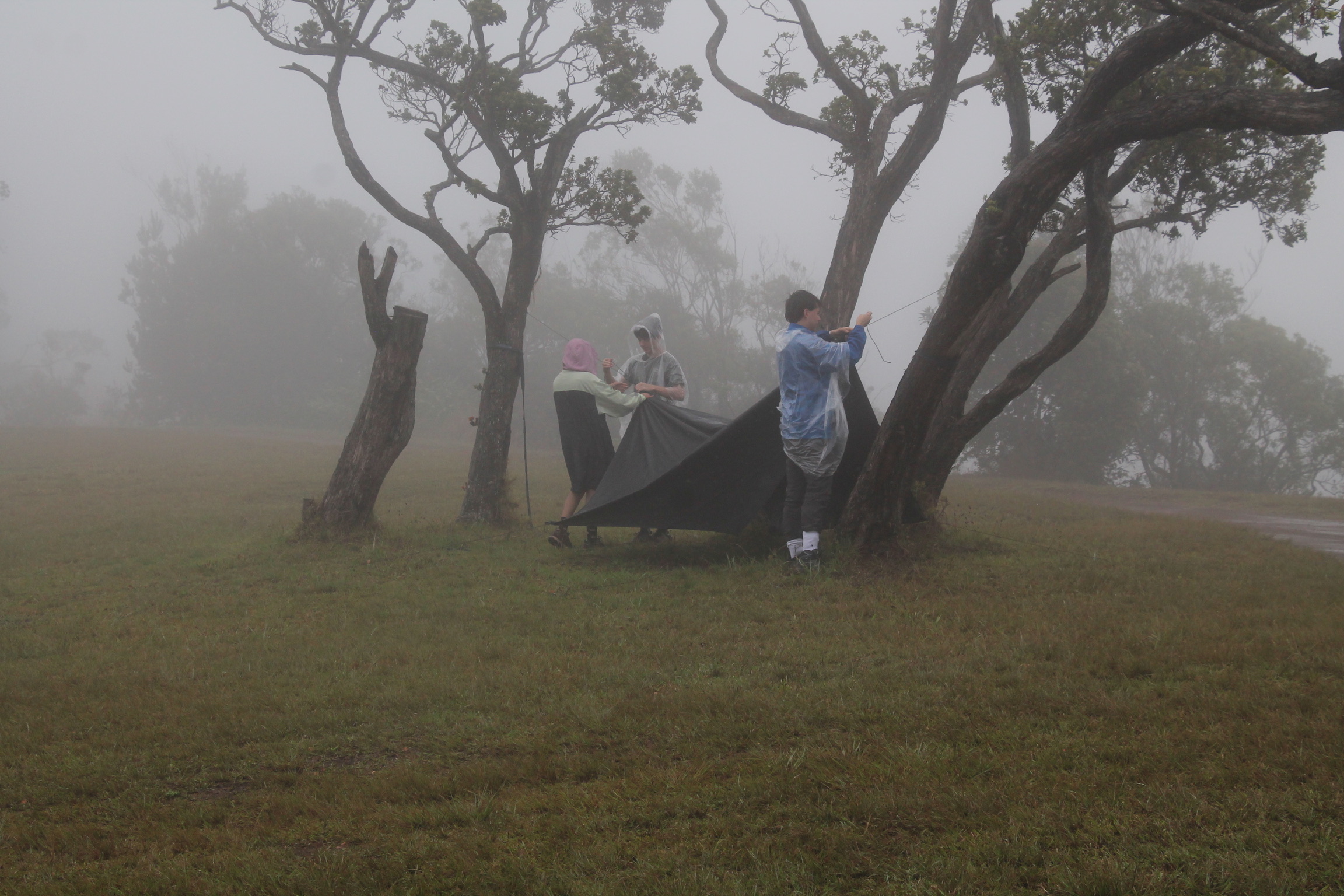 Preview image for September 30, 2025 — Occultation by Ringed Kuiper Belt Object (50000) Quaoar