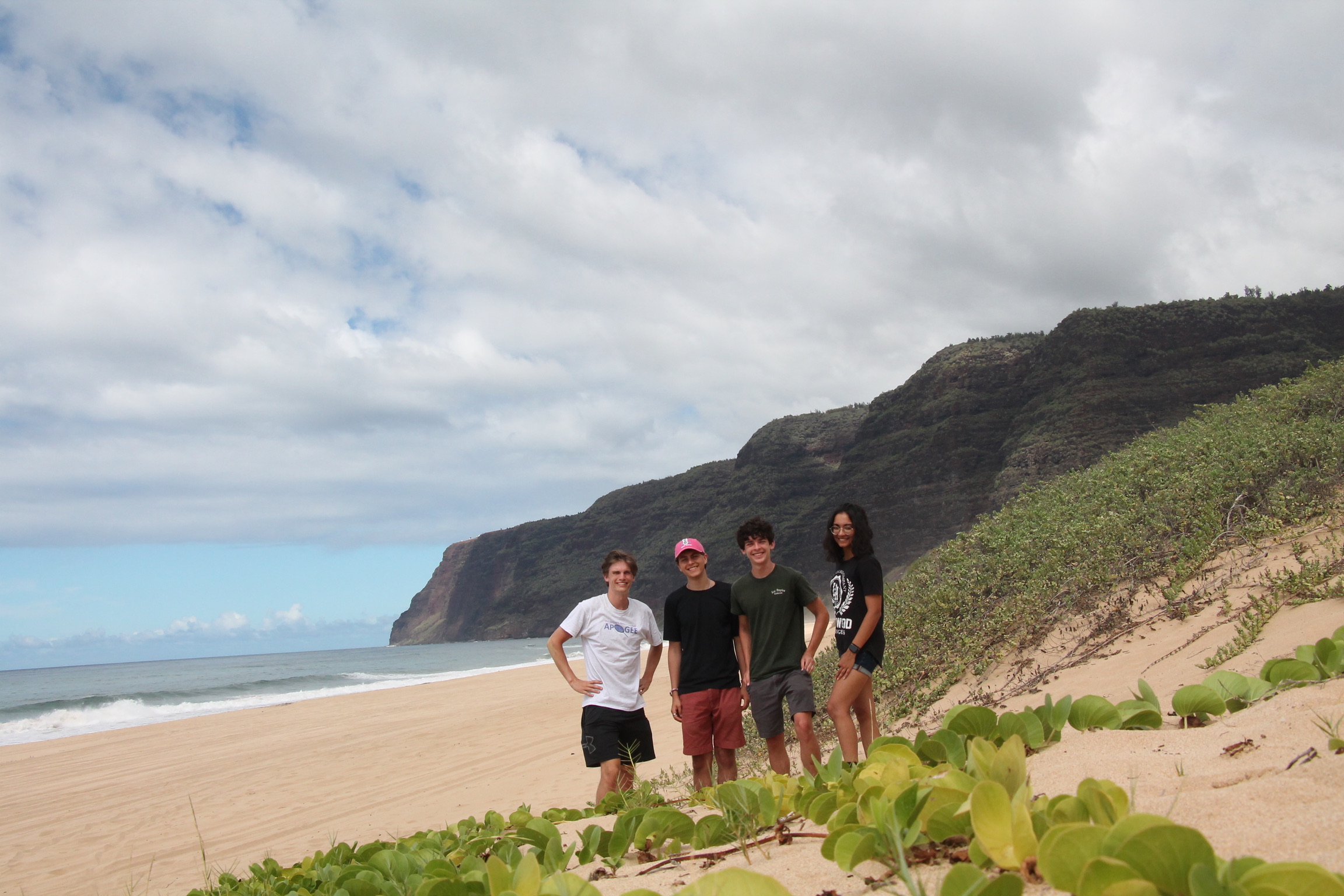 Polihale_group